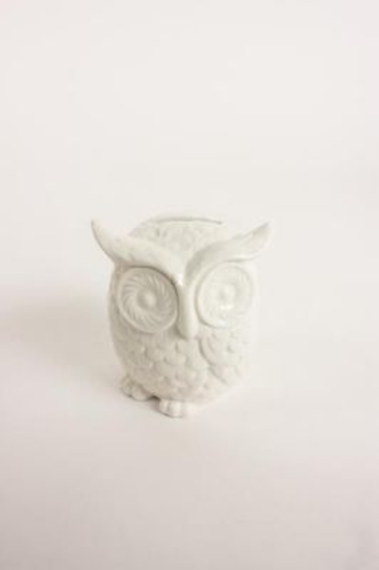 White Ceramic Owl Moneybox by Heaven Sends. White embossed ceramic owl moneybox. A lovely tactile owl moneybox that is sure to delight any owl lover. Size 10x8x8cm.